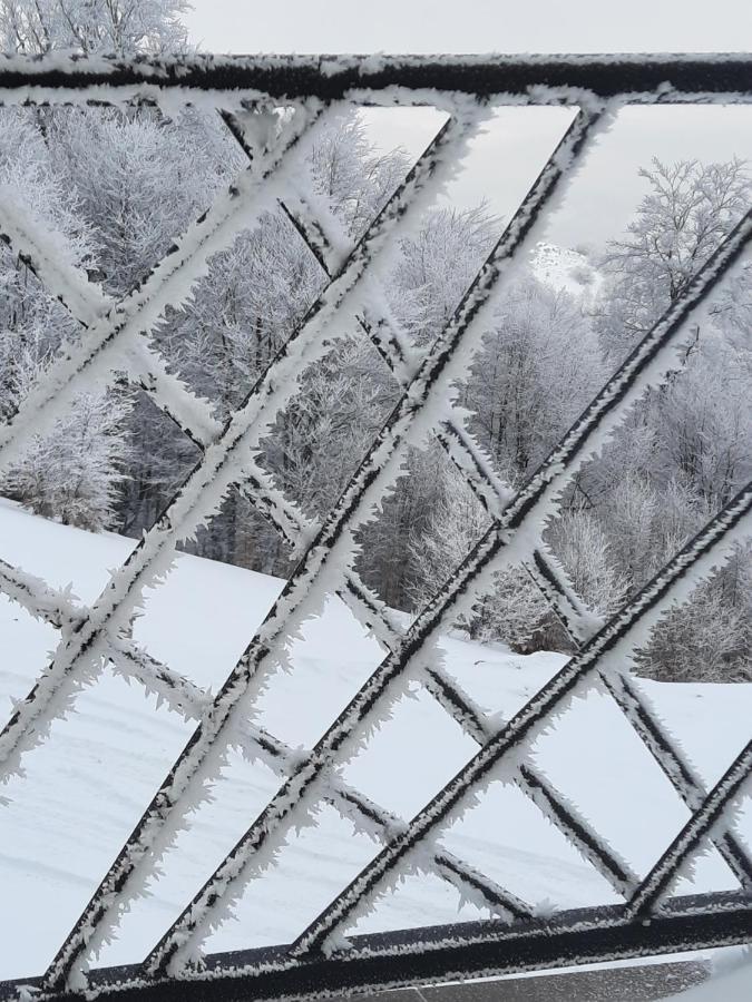 President Kop A-1 Otel Kopaonik Dış mekan fotoğraf